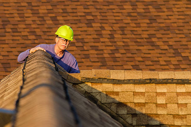 Best Roof Repair Services  in Elwood, UT